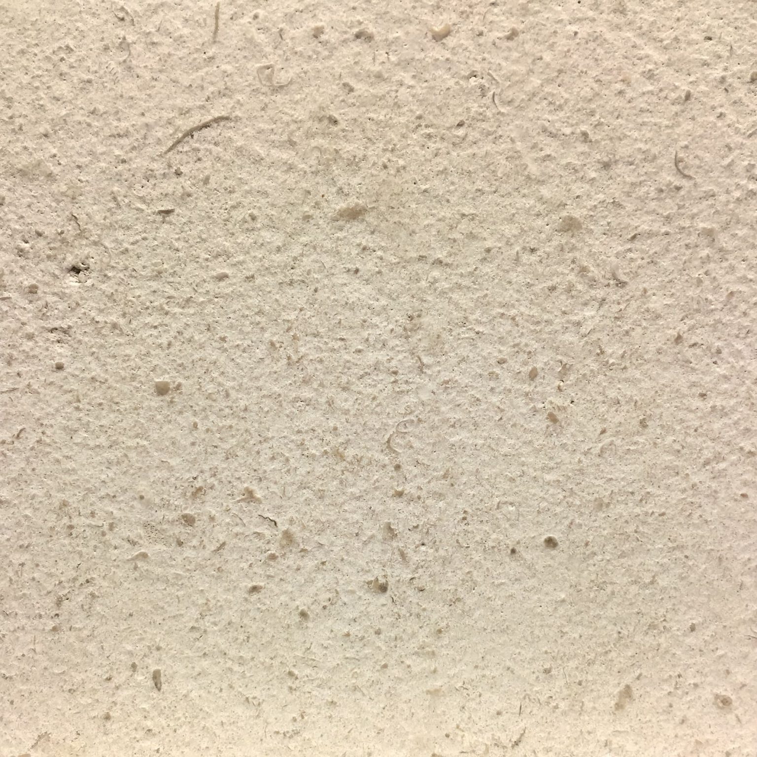 rosal-sap-brushed.jpg