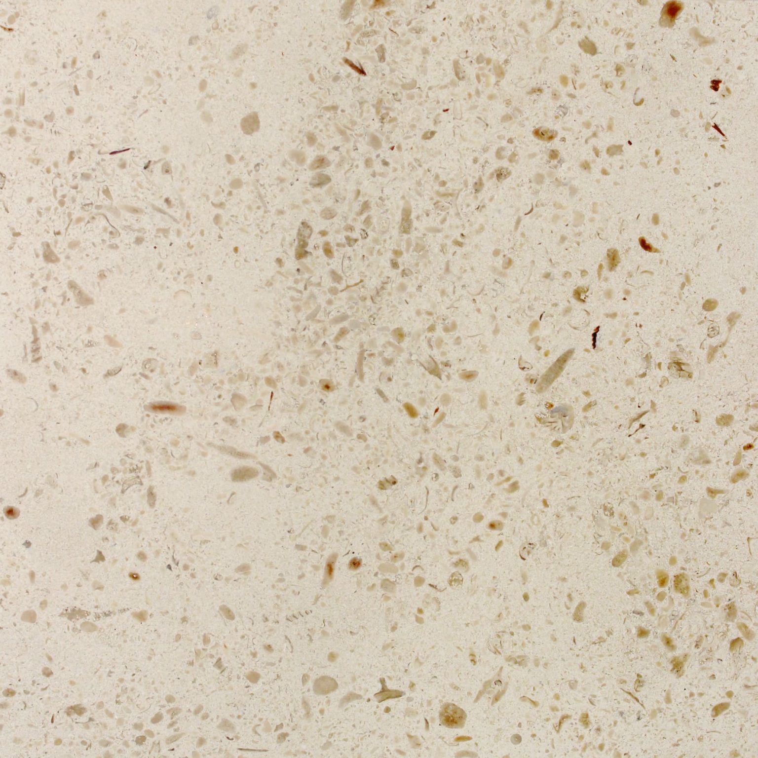 sahara-beije-grosso-honed.jpg