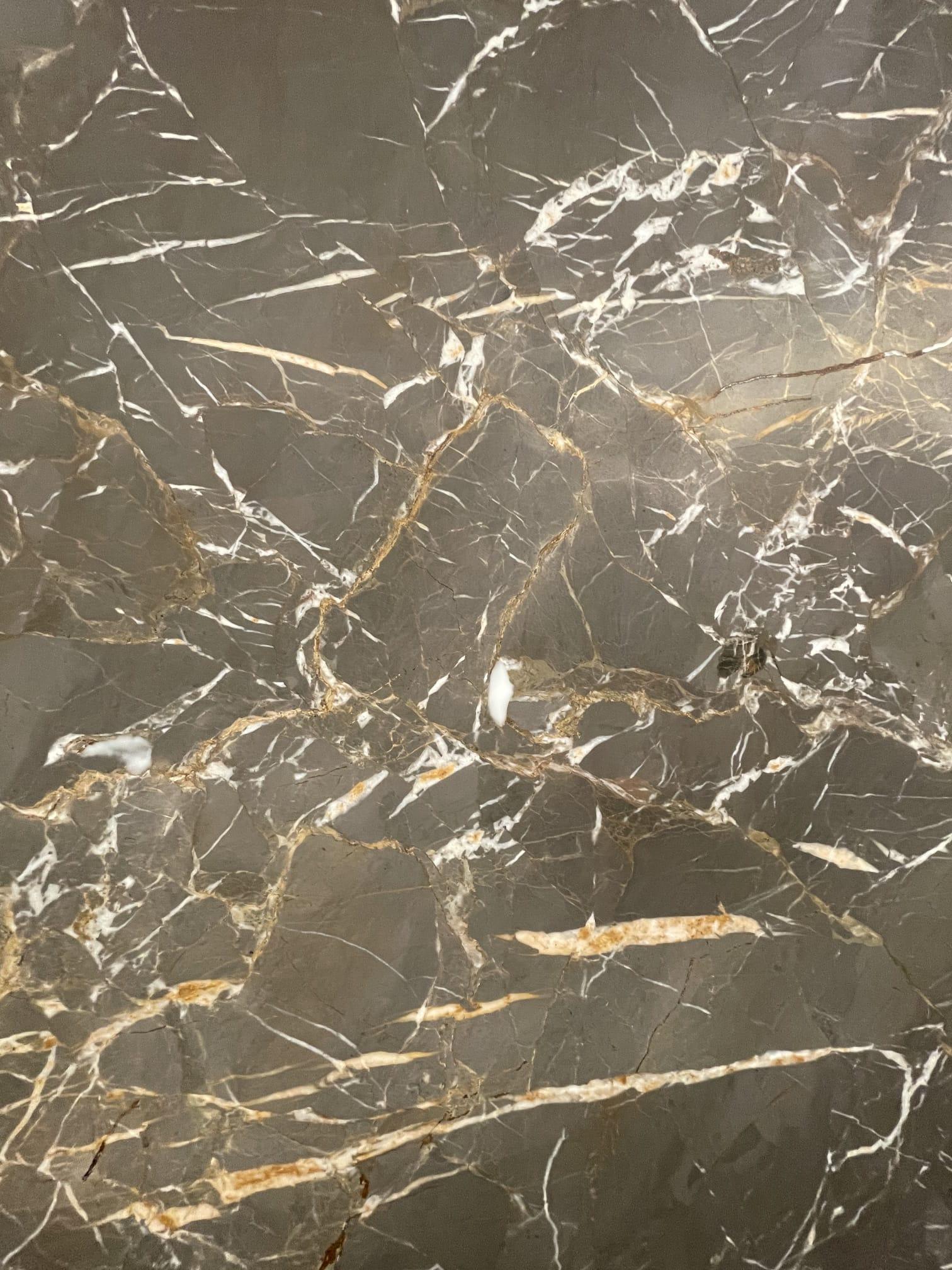 GRIS CEHEGIN - 4176-T-1